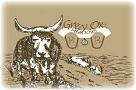 Grey Ox Meadows